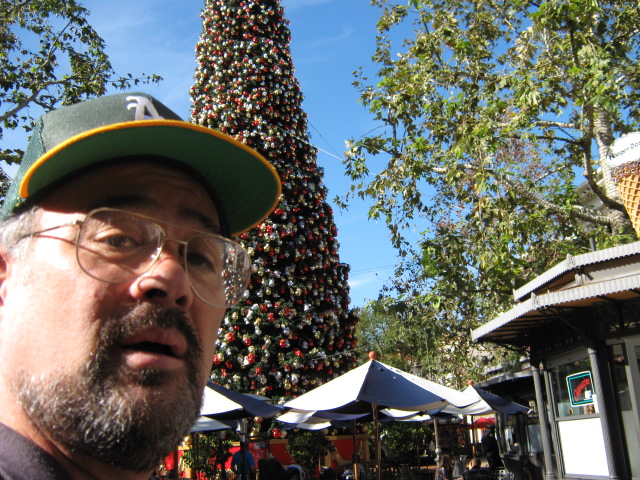 Reindeer Over The Grove in Los Angeles